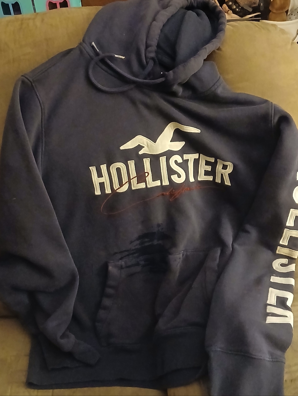Mens Hollister Hoodie